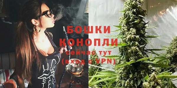 ПСИЛОЦИБИНОВЫЕ ГРИБЫ Навашино