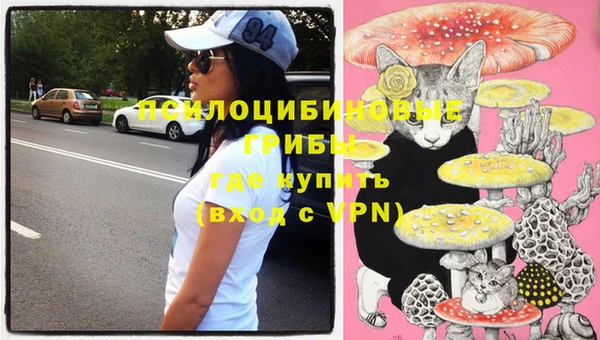 стаф Наволоки