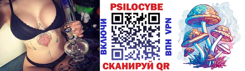 KRAKEN зеркало как найти Слюдянка Псилоцибиновые грибы Cubensis